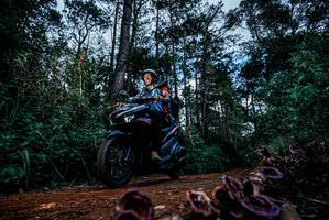 BIB: 
                            <button type="button" onclick="openModal(25879535)" class="btn btn-primary btn-sm float-right btn-popup" data-toggle="modal" data-target=".modal-high-quality">
                        <i class="fas fa-shopping-cart"></i> Add to Cart
                    </button>
                                            <button type="button" onclick="isThisMe(25879535, true)" class="btn btn-success btn-sm float-right btn-popup btn-isme hidden" data-toggle="tooltip" data-placement="bottom" title="นี่คือรูปของคุณใช่ไหม คลิกที่นี่เพื่อเอาเข้าอัลบั้ม">
                        <i class="fas fa-plus"></i> Add to album
                    </button>
                    <button type="button" onclick="isThisMe(25879535, false)" class="btn btn-warning btn-sm float-right btn-popup btn-isnotme hidden">
                        <i class="fas fa-ban"></i> Remove from album
                    </button>