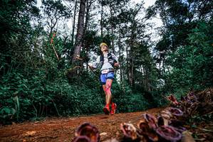 BIB: 
                            <button type="button" onclick="openModal(25879954)" class="btn btn-primary btn-sm float-right btn-popup" data-toggle="modal" data-target=".modal-high-quality">
                        <i class="fas fa-shopping-cart"></i> Add to Cart
                    </button>
                                            <button type="button" onclick="isThisMe(25879954, true)" class="btn btn-success btn-sm float-right btn-popup btn-isme hidden" data-toggle="tooltip" data-placement="bottom" title="นี่คือรูปของคุณใช่ไหม คลิกที่นี่เพื่อเอาเข้าอัลบั้ม">
                        <i class="fas fa-plus"></i> Add to album
                    </button>
                    <button type="button" onclick="isThisMe(25879954, false)" class="btn btn-warning btn-sm float-right btn-popup btn-isnotme hidden">
                        <i class="fas fa-ban"></i> Remove from album
                    </button>