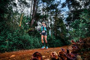 BIB: 
                            <button type="button" onclick="openModal(25882511)" class="btn btn-primary btn-sm float-right btn-popup" data-toggle="modal" data-target=".modal-high-quality">
                        <i class="fas fa-shopping-cart"></i> Add to Cart
                    </button>
                                            <button type="button" onclick="isThisMe(25882511, true)" class="btn btn-success btn-sm float-right btn-popup btn-isme hidden" data-toggle="tooltip" data-placement="bottom" title="นี่คือรูปของคุณใช่ไหม คลิกที่นี่เพื่อเอาเข้าอัลบั้ม">
                        <i class="fas fa-plus"></i> Add to album
                    </button>
                    <button type="button" onclick="isThisMe(25882511, false)" class="btn btn-warning btn-sm float-right btn-popup btn-isnotme hidden">
                        <i class="fas fa-ban"></i> Remove from album
                    </button>