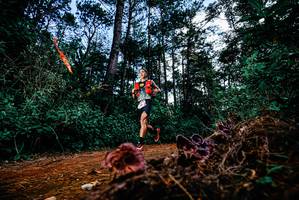 BIB: 
                            <button type="button" onclick="openModal(25877994)" class="btn btn-primary btn-sm float-right btn-popup" data-toggle="modal" data-target=".modal-high-quality">
                        <i class="fas fa-shopping-cart"></i> Add to Cart
                    </button>
                                            <button type="button" onclick="isThisMe(25877994, true)" class="btn btn-success btn-sm float-right btn-popup btn-isme hidden" data-toggle="tooltip" data-placement="bottom" title="นี่คือรูปของคุณใช่ไหม คลิกที่นี่เพื่อเอาเข้าอัลบั้ม">
                        <i class="fas fa-plus"></i> Add to album
                    </button>
                    <button type="button" onclick="isThisMe(25877994, false)" class="btn btn-warning btn-sm float-right btn-popup btn-isnotme hidden">
                        <i class="fas fa-ban"></i> Remove from album
                    </button>