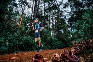 BIB: 
                            <button type="button" onclick="openModal(25881446)" class="btn btn-primary btn-sm float-right btn-popup" data-toggle="modal" data-target=".modal-high-quality">
                        <i class="fas fa-shopping-cart"></i> Add to Cart
                    </button>
                                            <button type="button" onclick="isThisMe(25881446, true)" class="btn btn-success btn-sm float-right btn-popup btn-isme hidden" data-toggle="tooltip" data-placement="bottom" title="นี่คือรูปของคุณใช่ไหม คลิกที่นี่เพื่อเอาเข้าอัลบั้ม">
                        <i class="fas fa-plus"></i> Add to album
                    </button>
                    <button type="button" onclick="isThisMe(25881446, false)" class="btn btn-warning btn-sm float-right btn-popup btn-isnotme hidden">
                        <i class="fas fa-ban"></i> Remove from album
                    </button>