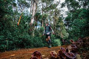 BIB: 
                            <button type="button" onclick="openModal(25880398)" class="btn btn-primary btn-sm float-right btn-popup" data-toggle="modal" data-target=".modal-high-quality">
                        <i class="fas fa-shopping-cart"></i> Add to Cart
                    </button>
                                            <button type="button" onclick="isThisMe(25880398, true)" class="btn btn-success btn-sm float-right btn-popup btn-isme hidden" data-toggle="tooltip" data-placement="bottom" title="นี่คือรูปของคุณใช่ไหม คลิกที่นี่เพื่อเอาเข้าอัลบั้ม">
                        <i class="fas fa-plus"></i> Add to album
                    </button>
                    <button type="button" onclick="isThisMe(25880398, false)" class="btn btn-warning btn-sm float-right btn-popup btn-isnotme hidden">
                        <i class="fas fa-ban"></i> Remove from album
                    </button>