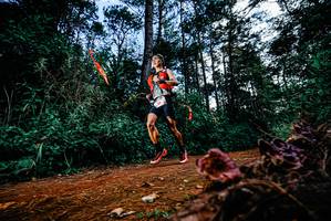 BIB: 
                            <button type="button" onclick="openModal(25878002)" class="btn btn-primary btn-sm float-right btn-popup" data-toggle="modal" data-target=".modal-high-quality">
                        <i class="fas fa-shopping-cart"></i> Add to Cart
                    </button>
                                            <button type="button" onclick="isThisMe(25878002, true)" class="btn btn-success btn-sm float-right btn-popup btn-isme hidden" data-toggle="tooltip" data-placement="bottom" title="นี่คือรูปของคุณใช่ไหม คลิกที่นี่เพื่อเอาเข้าอัลบั้ม">
                        <i class="fas fa-plus"></i> Add to album
                    </button>
                    <button type="button" onclick="isThisMe(25878002, false)" class="btn btn-warning btn-sm float-right btn-popup btn-isnotme hidden">
                        <i class="fas fa-ban"></i> Remove from album
                    </button>