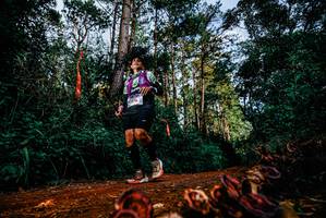 BIB: 
                            <button type="button" onclick="openModal(25882044)" class="btn btn-primary btn-sm float-right btn-popup" data-toggle="modal" data-target=".modal-high-quality">
                        <i class="fas fa-shopping-cart"></i> Add to Cart
                    </button>
                                            <button type="button" onclick="isThisMe(25882044, true)" class="btn btn-success btn-sm float-right btn-popup btn-isme hidden" data-toggle="tooltip" data-placement="bottom" title="นี่คือรูปของคุณใช่ไหม คลิกที่นี่เพื่อเอาเข้าอัลบั้ม">
                        <i class="fas fa-plus"></i> Add to album
                    </button>
                    <button type="button" onclick="isThisMe(25882044, false)" class="btn btn-warning btn-sm float-right btn-popup btn-isnotme hidden">
                        <i class="fas fa-ban"></i> Remove from album
                    </button>