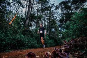 BIB: 
                            <button type="button" onclick="openModal(25878722)" class="btn btn-primary btn-sm float-right btn-popup" data-toggle="modal" data-target=".modal-high-quality">
                        <i class="fas fa-shopping-cart"></i> Add to Cart
                    </button>
                                            <button type="button" onclick="isThisMe(25878722, true)" class="btn btn-success btn-sm float-right btn-popup btn-isme hidden" data-toggle="tooltip" data-placement="bottom" title="นี่คือรูปของคุณใช่ไหม คลิกที่นี่เพื่อเอาเข้าอัลบั้ม">
                        <i class="fas fa-plus"></i> Add to album
                    </button>
                    <button type="button" onclick="isThisMe(25878722, false)" class="btn btn-warning btn-sm float-right btn-popup btn-isnotme hidden">
                        <i class="fas fa-ban"></i> Remove from album
                    </button>