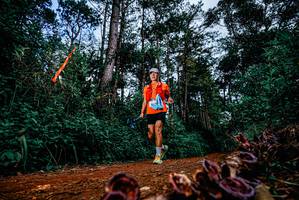 BIB: 
                            <button type="button" onclick="openModal(25879719)" class="btn btn-primary btn-sm float-right btn-popup" data-toggle="modal" data-target=".modal-high-quality">
                        <i class="fas fa-shopping-cart"></i> Add to Cart
                    </button>
                                            <button type="button" onclick="isThisMe(25879719, true)" class="btn btn-success btn-sm float-right btn-popup btn-isme hidden" data-toggle="tooltip" data-placement="bottom" title="นี่คือรูปของคุณใช่ไหม คลิกที่นี่เพื่อเอาเข้าอัลบั้ม">
                        <i class="fas fa-plus"></i> Add to album
                    </button>
                    <button type="button" onclick="isThisMe(25879719, false)" class="btn btn-warning btn-sm float-right btn-popup btn-isnotme hidden">
                        <i class="fas fa-ban"></i> Remove from album
                    </button>