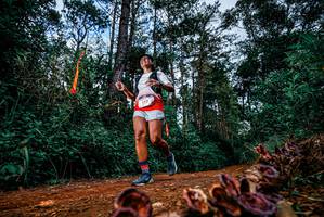 BIB: 
                            <button type="button" onclick="openModal(25881679)" class="btn btn-primary btn-sm float-right btn-popup" data-toggle="modal" data-target=".modal-high-quality">
                        <i class="fas fa-shopping-cart"></i> Add to Cart
                    </button>
                                            <button type="button" onclick="isThisMe(25881679, true)" class="btn btn-success btn-sm float-right btn-popup btn-isme hidden" data-toggle="tooltip" data-placement="bottom" title="นี่คือรูปของคุณใช่ไหม คลิกที่นี่เพื่อเอาเข้าอัลบั้ม">
                        <i class="fas fa-plus"></i> Add to album
                    </button>
                    <button type="button" onclick="isThisMe(25881679, false)" class="btn btn-warning btn-sm float-right btn-popup btn-isnotme hidden">
                        <i class="fas fa-ban"></i> Remove from album
                    </button>