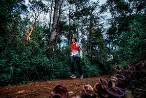 BIB: 
                            <button type="button" onclick="openModal(25879564)" class="btn btn-primary btn-sm float-right btn-popup" data-toggle="modal" data-target=".modal-high-quality">
                        <i class="fas fa-shopping-cart"></i> Add to Cart
                    </button>
                                            <button type="button" onclick="isThisMe(25879564, true)" class="btn btn-success btn-sm float-right btn-popup btn-isme hidden" data-toggle="tooltip" data-placement="bottom" title="นี่คือรูปของคุณใช่ไหม คลิกที่นี่เพื่อเอาเข้าอัลบั้ม">
                        <i class="fas fa-plus"></i> Add to album
                    </button>
                    <button type="button" onclick="isThisMe(25879564, false)" class="btn btn-warning btn-sm float-right btn-popup btn-isnotme hidden">
                        <i class="fas fa-ban"></i> Remove from album
                    </button>