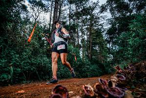 BIB: 
                            <button type="button" onclick="openModal(25881469)" class="btn btn-primary btn-sm float-right btn-popup" data-toggle="modal" data-target=".modal-high-quality">
                        <i class="fas fa-shopping-cart"></i> Add to Cart
                    </button>
                                            <button type="button" onclick="isThisMe(25881469, true)" class="btn btn-success btn-sm float-right btn-popup btn-isme hidden" data-toggle="tooltip" data-placement="bottom" title="นี่คือรูปของคุณใช่ไหม คลิกที่นี่เพื่อเอาเข้าอัลบั้ม">
                        <i class="fas fa-plus"></i> Add to album
                    </button>
                    <button type="button" onclick="isThisMe(25881469, false)" class="btn btn-warning btn-sm float-right btn-popup btn-isnotme hidden">
                        <i class="fas fa-ban"></i> Remove from album
                    </button>