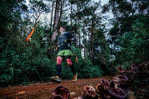 BIB: 
                            <button type="button" onclick="openModal(25879580)" class="btn btn-primary btn-sm float-right btn-popup" data-toggle="modal" data-target=".modal-high-quality">
                        <i class="fas fa-shopping-cart"></i> Add to Cart
                    </button>
                                            <button type="button" onclick="isThisMe(25879580, true)" class="btn btn-success btn-sm float-right btn-popup btn-isme hidden" data-toggle="tooltip" data-placement="bottom" title="นี่คือรูปของคุณใช่ไหม คลิกที่นี่เพื่อเอาเข้าอัลบั้ม">
                        <i class="fas fa-plus"></i> Add to album
                    </button>
                    <button type="button" onclick="isThisMe(25879580, false)" class="btn btn-warning btn-sm float-right btn-popup btn-isnotme hidden">
                        <i class="fas fa-ban"></i> Remove from album
                    </button>