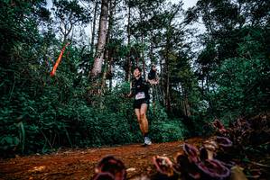 BIB: 
                            <button type="button" onclick="openModal(25879795)" class="btn btn-primary btn-sm float-right btn-popup" data-toggle="modal" data-target=".modal-high-quality">
                        <i class="fas fa-shopping-cart"></i> Add to Cart
                    </button>
                                            <button type="button" onclick="isThisMe(25879795, true)" class="btn btn-success btn-sm float-right btn-popup btn-isme hidden" data-toggle="tooltip" data-placement="bottom" title="นี่คือรูปของคุณใช่ไหม คลิกที่นี่เพื่อเอาเข้าอัลบั้ม">
                        <i class="fas fa-plus"></i> Add to album
                    </button>
                    <button type="button" onclick="isThisMe(25879795, false)" class="btn btn-warning btn-sm float-right btn-popup btn-isnotme hidden">
                        <i class="fas fa-ban"></i> Remove from album
                    </button>