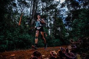 BIB: 
                            <button type="button" onclick="openModal(25880703)" class="btn btn-primary btn-sm float-right btn-popup" data-toggle="modal" data-target=".modal-high-quality">
                        <i class="fas fa-shopping-cart"></i> Add to Cart
                    </button>
                                            <button type="button" onclick="isThisMe(25880703, true)" class="btn btn-success btn-sm float-right btn-popup btn-isme hidden" data-toggle="tooltip" data-placement="bottom" title="นี่คือรูปของคุณใช่ไหม คลิกที่นี่เพื่อเอาเข้าอัลบั้ม">
                        <i class="fas fa-plus"></i> Add to album
                    </button>
                    <button type="button" onclick="isThisMe(25880703, false)" class="btn btn-warning btn-sm float-right btn-popup btn-isnotme hidden">
                        <i class="fas fa-ban"></i> Remove from album
                    </button>