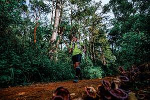 BIB: 
                            <button type="button" onclick="openModal(25879815)" class="btn btn-primary btn-sm float-right btn-popup" data-toggle="modal" data-target=".modal-high-quality">
                        <i class="fas fa-shopping-cart"></i> Add to Cart
                    </button>
                                            <button type="button" onclick="isThisMe(25879815, true)" class="btn btn-success btn-sm float-right btn-popup btn-isme hidden" data-toggle="tooltip" data-placement="bottom" title="นี่คือรูปของคุณใช่ไหม คลิกที่นี่เพื่อเอาเข้าอัลบั้ม">
                        <i class="fas fa-plus"></i> Add to album
                    </button>
                    <button type="button" onclick="isThisMe(25879815, false)" class="btn btn-warning btn-sm float-right btn-popup btn-isnotme hidden">
                        <i class="fas fa-ban"></i> Remove from album
                    </button>