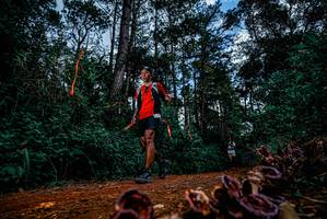 BIB: 
                            <button type="button" onclick="openModal(25880625)" class="btn btn-primary btn-sm float-right btn-popup" data-toggle="modal" data-target=".modal-high-quality">
                        <i class="fas fa-shopping-cart"></i> Add to Cart
                    </button>
                                            <button type="button" onclick="isThisMe(25880625, true)" class="btn btn-success btn-sm float-right btn-popup btn-isme hidden" data-toggle="tooltip" data-placement="bottom" title="นี่คือรูปของคุณใช่ไหม คลิกที่นี่เพื่อเอาเข้าอัลบั้ม">
                        <i class="fas fa-plus"></i> Add to album
                    </button>
                    <button type="button" onclick="isThisMe(25880625, false)" class="btn btn-warning btn-sm float-right btn-popup btn-isnotme hidden">
                        <i class="fas fa-ban"></i> Remove from album
                    </button>