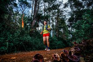 BIB: 
                            <button type="button" onclick="openModal(25881071)" class="btn btn-primary btn-sm float-right btn-popup" data-toggle="modal" data-target=".modal-high-quality">
                        <i class="fas fa-shopping-cart"></i> Add to Cart
                    </button>
                                            <button type="button" onclick="isThisMe(25881071, true)" class="btn btn-success btn-sm float-right btn-popup btn-isme hidden" data-toggle="tooltip" data-placement="bottom" title="นี่คือรูปของคุณใช่ไหม คลิกที่นี่เพื่อเอาเข้าอัลบั้ม">
                        <i class="fas fa-plus"></i> Add to album
                    </button>
                    <button type="button" onclick="isThisMe(25881071, false)" class="btn btn-warning btn-sm float-right btn-popup btn-isnotme hidden">
                        <i class="fas fa-ban"></i> Remove from album
                    </button>