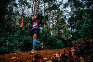 BIB: 
                            <button type="button" onclick="openModal(25881777)" class="btn btn-primary btn-sm float-right btn-popup" data-toggle="modal" data-target=".modal-high-quality">
                        <i class="fas fa-shopping-cart"></i> Add to Cart
                    </button>
                                            <button type="button" onclick="isThisMe(25881777, true)" class="btn btn-success btn-sm float-right btn-popup btn-isme hidden" data-toggle="tooltip" data-placement="bottom" title="นี่คือรูปของคุณใช่ไหม คลิกที่นี่เพื่อเอาเข้าอัลบั้ม">
                        <i class="fas fa-plus"></i> Add to album
                    </button>
                    <button type="button" onclick="isThisMe(25881777, false)" class="btn btn-warning btn-sm float-right btn-popup btn-isnotme hidden">
                        <i class="fas fa-ban"></i> Remove from album
                    </button>