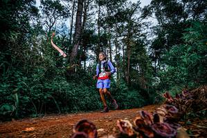 BIB: 
                            <button type="button" onclick="openModal(25881693)" class="btn btn-primary btn-sm float-right btn-popup" data-toggle="modal" data-target=".modal-high-quality">
                        <i class="fas fa-shopping-cart"></i> Add to Cart
                    </button>
                                            <button type="button" onclick="isThisMe(25881693, true)" class="btn btn-success btn-sm float-right btn-popup btn-isme hidden" data-toggle="tooltip" data-placement="bottom" title="นี่คือรูปของคุณใช่ไหม คลิกที่นี่เพื่อเอาเข้าอัลบั้ม">
                        <i class="fas fa-plus"></i> Add to album
                    </button>
                    <button type="button" onclick="isThisMe(25881693, false)" class="btn btn-warning btn-sm float-right btn-popup btn-isnotme hidden">
                        <i class="fas fa-ban"></i> Remove from album
                    </button>