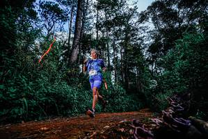 BIB: 
                            <button type="button" onclick="openModal(25878616)" class="btn btn-primary btn-sm float-right btn-popup" data-toggle="modal" data-target=".modal-high-quality">
                        <i class="fas fa-shopping-cart"></i> Add to Cart
                    </button>
                                            <button type="button" onclick="isThisMe(25878616, true)" class="btn btn-success btn-sm float-right btn-popup btn-isme hidden" data-toggle="tooltip" data-placement="bottom" title="นี่คือรูปของคุณใช่ไหม คลิกที่นี่เพื่อเอาเข้าอัลบั้ม">
                        <i class="fas fa-plus"></i> Add to album
                    </button>
                    <button type="button" onclick="isThisMe(25878616, false)" class="btn btn-warning btn-sm float-right btn-popup btn-isnotme hidden">
                        <i class="fas fa-ban"></i> Remove from album
                    </button>