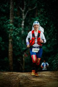 BIB: 
                            <button type="button" onclick="openModal(25931794)" class="btn btn-primary btn-sm float-right btn-popup" data-toggle="modal" data-target=".modal-high-quality">
                        <i class="fas fa-shopping-cart"></i> Add to Cart
                    </button>
                                            <button type="button" onclick="isThisMe(25931794, true)" class="btn btn-success btn-sm float-right btn-popup btn-isme hidden" data-toggle="tooltip" data-placement="bottom" title="นี่คือรูปของคุณใช่ไหม คลิกที่นี่เพื่อเอาเข้าอัลบั้ม">
                        <i class="fas fa-plus"></i> Add to album
                    </button>
                    <button type="button" onclick="isThisMe(25931794, false)" class="btn btn-warning btn-sm float-right btn-popup btn-isnotme hidden">
                        <i class="fas fa-ban"></i> Remove from album
                    </button>