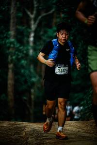 BIB: 
                            <button type="button" onclick="openModal(25929191)" class="btn btn-primary btn-sm float-right btn-popup" data-toggle="modal" data-target=".modal-high-quality">
                        <i class="fas fa-shopping-cart"></i> Add to Cart
                    </button>
                                            <button type="button" onclick="isThisMe(25929191, true)" class="btn btn-success btn-sm float-right btn-popup btn-isme hidden" data-toggle="tooltip" data-placement="bottom" title="นี่คือรูปของคุณใช่ไหม คลิกที่นี่เพื่อเอาเข้าอัลบั้ม">
                        <i class="fas fa-plus"></i> Add to album
                    </button>
                    <button type="button" onclick="isThisMe(25929191, false)" class="btn btn-warning btn-sm float-right btn-popup btn-isnotme hidden">
                        <i class="fas fa-ban"></i> Remove from album
                    </button>