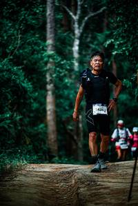 BIB: 
                            <button type="button" onclick="openModal(25924964)" class="btn btn-primary btn-sm float-right btn-popup" data-toggle="modal" data-target=".modal-high-quality">
                        <i class="fas fa-shopping-cart"></i> Add to Cart
                    </button>
                                            <button type="button" onclick="isThisMe(25924964, true)" class="btn btn-success btn-sm float-right btn-popup btn-isme hidden" data-toggle="tooltip" data-placement="bottom" title="นี่คือรูปของคุณใช่ไหม คลิกที่นี่เพื่อเอาเข้าอัลบั้ม">
                        <i class="fas fa-plus"></i> Add to album
                    </button>
                    <button type="button" onclick="isThisMe(25924964, false)" class="btn btn-warning btn-sm float-right btn-popup btn-isnotme hidden">
                        <i class="fas fa-ban"></i> Remove from album
                    </button>