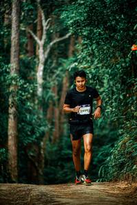 BIB: 
                            <button type="button" onclick="openModal(25929033)" class="btn btn-primary btn-sm float-right btn-popup" data-toggle="modal" data-target=".modal-high-quality">
                        <i class="fas fa-shopping-cart"></i> Add to Cart
                    </button>
                                            <button type="button" onclick="isThisMe(25929033, true)" class="btn btn-success btn-sm float-right btn-popup btn-isme hidden" data-toggle="tooltip" data-placement="bottom" title="นี่คือรูปของคุณใช่ไหม คลิกที่นี่เพื่อเอาเข้าอัลบั้ม">
                        <i class="fas fa-plus"></i> Add to album
                    </button>
                    <button type="button" onclick="isThisMe(25929033, false)" class="btn btn-warning btn-sm float-right btn-popup btn-isnotme hidden">
                        <i class="fas fa-ban"></i> Remove from album
                    </button>