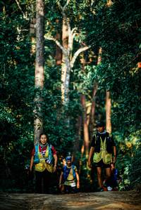 BIB: 
                            <button type="button" onclick="openModal(25924102)" class="btn btn-primary btn-sm float-right btn-popup" data-toggle="modal" data-target=".modal-high-quality">
                        <i class="fas fa-shopping-cart"></i> Add to Cart
                    </button>
                                            <button type="button" onclick="isThisMe(25924102, true)" class="btn btn-success btn-sm float-right btn-popup btn-isme hidden" data-toggle="tooltip" data-placement="bottom" title="นี่คือรูปของคุณใช่ไหม คลิกที่นี่เพื่อเอาเข้าอัลบั้ม">
                        <i class="fas fa-plus"></i> Add to album
                    </button>
                    <button type="button" onclick="isThisMe(25924102, false)" class="btn btn-warning btn-sm float-right btn-popup btn-isnotme hidden">
                        <i class="fas fa-ban"></i> Remove from album
                    </button>