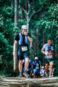 BIB: 
                            <button type="button" onclick="openModal(25941395)" class="btn btn-primary btn-sm float-right btn-popup" data-toggle="modal" data-target=".modal-high-quality">
                        <i class="fas fa-shopping-cart"></i> Add to Cart
                    </button>
                                            <button type="button" onclick="isThisMe(25941395, true)" class="btn btn-success btn-sm float-right btn-popup btn-isme hidden" data-toggle="tooltip" data-placement="bottom" title="นี่คือรูปของคุณใช่ไหม คลิกที่นี่เพื่อเอาเข้าอัลบั้ม">
                        <i class="fas fa-plus"></i> Add to album
                    </button>
                    <button type="button" onclick="isThisMe(25941395, false)" class="btn btn-warning btn-sm float-right btn-popup btn-isnotme hidden">
                        <i class="fas fa-ban"></i> Remove from album
                    </button>