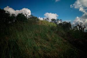 BIB: 
                            <button type="button" onclick="openModal(25612495)" class="btn btn-primary btn-sm float-right btn-popup" data-toggle="modal" data-target=".modal-high-quality">
                        <i class="fas fa-shopping-cart"></i> Add to Cart
                    </button>
                                            <button type="button" onclick="isThisMe(25612495, true)" class="btn btn-success btn-sm float-right btn-popup btn-isme hidden" data-toggle="tooltip" data-placement="bottom" title="นี่คือรูปของคุณใช่ไหม คลิกที่นี่เพื่อเอาเข้าอัลบั้ม">
                        <i class="fas fa-plus"></i> Add to album
                    </button>
                    <button type="button" onclick="isThisMe(25612495, false)" class="btn btn-warning btn-sm float-right btn-popup btn-isnotme hidden">
                        <i class="fas fa-ban"></i> Remove from album
                    </button>