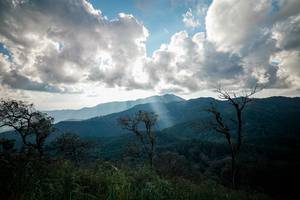 BIB: 
                            <button type="button" onclick="openModal(25630434)" class="btn btn-primary btn-sm float-right btn-popup" data-toggle="modal" data-target=".modal-high-quality">
                        <i class="fas fa-shopping-cart"></i> Add to Cart
                    </button>
                                            <button type="button" onclick="isThisMe(25630434, true)" class="btn btn-success btn-sm float-right btn-popup btn-isme hidden" data-toggle="tooltip" data-placement="bottom" title="นี่คือรูปของคุณใช่ไหม คลิกที่นี่เพื่อเอาเข้าอัลบั้ม">
                        <i class="fas fa-plus"></i> Add to album
                    </button>
                    <button type="button" onclick="isThisMe(25630434, false)" class="btn btn-warning btn-sm float-right btn-popup btn-isnotme hidden">
                        <i class="fas fa-ban"></i> Remove from album
                    </button>