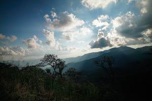 BIB: 
                            <button type="button" onclick="openModal(25267629)" class="btn btn-primary btn-sm float-right btn-popup" data-toggle="modal" data-target=".modal-high-quality">
                        <i class="fas fa-shopping-cart"></i> Add to Cart
                    </button>
                                            <button type="button" onclick="isThisMe(25267629, true)" class="btn btn-success btn-sm float-right btn-popup btn-isme hidden" data-toggle="tooltip" data-placement="bottom" title="นี่คือรูปของคุณใช่ไหม คลิกที่นี่เพื่อเอาเข้าอัลบั้ม">
                        <i class="fas fa-plus"></i> Add to album
                    </button>
                    <button type="button" onclick="isThisMe(25267629, false)" class="btn btn-warning btn-sm float-right btn-popup btn-isnotme hidden">
                        <i class="fas fa-ban"></i> Remove from album
                    </button>