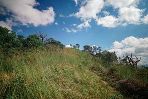 BIB: 
                            <button type="button" onclick="openModal(25530879)" class="btn btn-primary btn-sm float-right btn-popup" data-toggle="modal" data-target=".modal-high-quality">
                        <i class="fas fa-shopping-cart"></i> Add to Cart
                    </button>
                                            <button type="button" onclick="isThisMe(25530879, true)" class="btn btn-success btn-sm float-right btn-popup btn-isme hidden" data-toggle="tooltip" data-placement="bottom" title="นี่คือรูปของคุณใช่ไหม คลิกที่นี่เพื่อเอาเข้าอัลบั้ม">
                        <i class="fas fa-plus"></i> Add to album
                    </button>
                    <button type="button" onclick="isThisMe(25530879, false)" class="btn btn-warning btn-sm float-right btn-popup btn-isnotme hidden">
                        <i class="fas fa-ban"></i> Remove from album
                    </button>