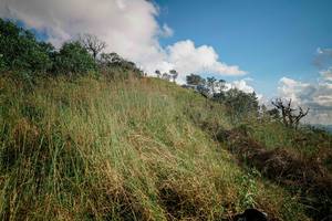 BIB: 
                            <button type="button" onclick="openModal(25604234)" class="btn btn-primary btn-sm float-right btn-popup" data-toggle="modal" data-target=".modal-high-quality">
                        <i class="fas fa-shopping-cart"></i> Add to Cart
                    </button>
                                            <button type="button" onclick="isThisMe(25604234, true)" class="btn btn-success btn-sm float-right btn-popup btn-isme hidden" data-toggle="tooltip" data-placement="bottom" title="นี่คือรูปของคุณใช่ไหม คลิกที่นี่เพื่อเอาเข้าอัลบั้ม">
                        <i class="fas fa-plus"></i> Add to album
                    </button>
                    <button type="button" onclick="isThisMe(25604234, false)" class="btn btn-warning btn-sm float-right btn-popup btn-isnotme hidden">
                        <i class="fas fa-ban"></i> Remove from album
                    </button>