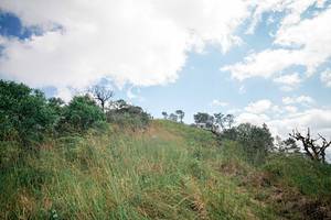 BIB: 
                            <button type="button" onclick="openModal(25265271)" class="btn btn-primary btn-sm float-right btn-popup" data-toggle="modal" data-target=".modal-high-quality">
                        <i class="fas fa-shopping-cart"></i> Add to Cart
                    </button>
                                            <button type="button" onclick="isThisMe(25265271, true)" class="btn btn-success btn-sm float-right btn-popup btn-isme hidden" data-toggle="tooltip" data-placement="bottom" title="นี่คือรูปของคุณใช่ไหม คลิกที่นี่เพื่อเอาเข้าอัลบั้ม">
                        <i class="fas fa-plus"></i> Add to album
                    </button>
                    <button type="button" onclick="isThisMe(25265271, false)" class="btn btn-warning btn-sm float-right btn-popup btn-isnotme hidden">
                        <i class="fas fa-ban"></i> Remove from album
                    </button>