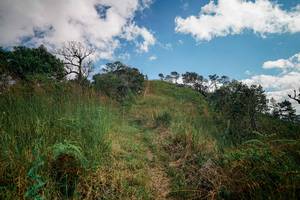 BIB: 
                            <button type="button" onclick="openModal(25530852)" class="btn btn-primary btn-sm float-right btn-popup" data-toggle="modal" data-target=".modal-high-quality">
                        <i class="fas fa-shopping-cart"></i> Add to Cart
                    </button>
                                            <button type="button" onclick="isThisMe(25530852, true)" class="btn btn-success btn-sm float-right btn-popup btn-isme hidden" data-toggle="tooltip" data-placement="bottom" title="นี่คือรูปของคุณใช่ไหม คลิกที่นี่เพื่อเอาเข้าอัลบั้ม">
                        <i class="fas fa-plus"></i> Add to album
                    </button>
                    <button type="button" onclick="isThisMe(25530852, false)" class="btn btn-warning btn-sm float-right btn-popup btn-isnotme hidden">
                        <i class="fas fa-ban"></i> Remove from album
                    </button>