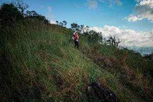 BIB: 
                            <button type="button" onclick="openModal(25629816)" class="btn btn-primary btn-sm float-right btn-popup" data-toggle="modal" data-target=".modal-high-quality">
                        <i class="fas fa-shopping-cart"></i> Add to Cart
                    </button>
                                            <button type="button" onclick="isThisMe(25629816, true)" class="btn btn-success btn-sm float-right btn-popup btn-isme hidden" data-toggle="tooltip" data-placement="bottom" title="นี่คือรูปของคุณใช่ไหม คลิกที่นี่เพื่อเอาเข้าอัลบั้ม">
                        <i class="fas fa-plus"></i> Add to album
                    </button>
                    <button type="button" onclick="isThisMe(25629816, false)" class="btn btn-warning btn-sm float-right btn-popup btn-isnotme hidden">
                        <i class="fas fa-ban"></i> Remove from album
                    </button>