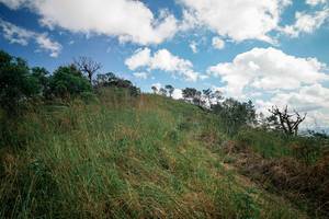 BIB: 
                            <button type="button" onclick="openModal(25539077)" class="btn btn-primary btn-sm float-right btn-popup" data-toggle="modal" data-target=".modal-high-quality">
                        <i class="fas fa-shopping-cart"></i> Add to Cart
                    </button>
                                            <button type="button" onclick="isThisMe(25539077, true)" class="btn btn-success btn-sm float-right btn-popup btn-isme hidden" data-toggle="tooltip" data-placement="bottom" title="นี่คือรูปของคุณใช่ไหม คลิกที่นี่เพื่อเอาเข้าอัลบั้ม">
                        <i class="fas fa-plus"></i> Add to album
                    </button>
                    <button type="button" onclick="isThisMe(25539077, false)" class="btn btn-warning btn-sm float-right btn-popup btn-isnotme hidden">
                        <i class="fas fa-ban"></i> Remove from album
                    </button>