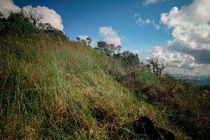 BIB: 
                            <button type="button" onclick="openModal(25612146)" class="btn btn-primary btn-sm float-right btn-popup" data-toggle="modal" data-target=".modal-high-quality">
                        <i class="fas fa-shopping-cart"></i> Add to Cart
                    </button>
                                            <button type="button" onclick="isThisMe(25612146, true)" class="btn btn-success btn-sm float-right btn-popup btn-isme hidden" data-toggle="tooltip" data-placement="bottom" title="นี่คือรูปของคุณใช่ไหม คลิกที่นี่เพื่อเอาเข้าอัลบั้ม">
                        <i class="fas fa-plus"></i> Add to album
                    </button>
                    <button type="button" onclick="isThisMe(25612146, false)" class="btn btn-warning btn-sm float-right btn-popup btn-isnotme hidden">
                        <i class="fas fa-ban"></i> Remove from album
                    </button>