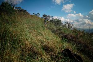 BIB: 
                            <button type="button" onclick="openModal(25600382)" class="btn btn-primary btn-sm float-right btn-popup" data-toggle="modal" data-target=".modal-high-quality">
                        <i class="fas fa-shopping-cart"></i> Add to Cart
                    </button>
                                            <button type="button" onclick="isThisMe(25600382, true)" class="btn btn-success btn-sm float-right btn-popup btn-isme hidden" data-toggle="tooltip" data-placement="bottom" title="นี่คือรูปของคุณใช่ไหม คลิกที่นี่เพื่อเอาเข้าอัลบั้ม">
                        <i class="fas fa-plus"></i> Add to album
                    </button>
                    <button type="button" onclick="isThisMe(25600382, false)" class="btn btn-warning btn-sm float-right btn-popup btn-isnotme hidden">
                        <i class="fas fa-ban"></i> Remove from album
                    </button>