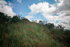 BIB: 
                            <button type="button" onclick="openModal(25266142)" class="btn btn-primary btn-sm float-right btn-popup" data-toggle="modal" data-target=".modal-high-quality">
                        <i class="fas fa-shopping-cart"></i> Add to Cart
                    </button>
                                            <button type="button" onclick="isThisMe(25266142, true)" class="btn btn-success btn-sm float-right btn-popup btn-isme hidden" data-toggle="tooltip" data-placement="bottom" title="นี่คือรูปของคุณใช่ไหม คลิกที่นี่เพื่อเอาเข้าอัลบั้ม">
                        <i class="fas fa-plus"></i> Add to album
                    </button>
                    <button type="button" onclick="isThisMe(25266142, false)" class="btn btn-warning btn-sm float-right btn-popup btn-isnotme hidden">
                        <i class="fas fa-ban"></i> Remove from album
                    </button>