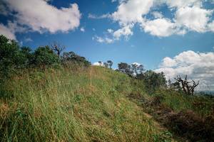 BIB: 
                            <button type="button" onclick="openModal(25530863)" class="btn btn-primary btn-sm float-right btn-popup" data-toggle="modal" data-target=".modal-high-quality">
                        <i class="fas fa-shopping-cart"></i> Add to Cart
                    </button>
                                            <button type="button" onclick="isThisMe(25530863, true)" class="btn btn-success btn-sm float-right btn-popup btn-isme hidden" data-toggle="tooltip" data-placement="bottom" title="นี่คือรูปของคุณใช่ไหม คลิกที่นี่เพื่อเอาเข้าอัลบั้ม">
                        <i class="fas fa-plus"></i> Add to album
                    </button>
                    <button type="button" onclick="isThisMe(25530863, false)" class="btn btn-warning btn-sm float-right btn-popup btn-isnotme hidden">
                        <i class="fas fa-ban"></i> Remove from album
                    </button>