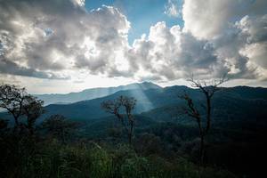 BIB: 
                            <button type="button" onclick="openModal(25630466)" class="btn btn-primary btn-sm float-right btn-popup" data-toggle="modal" data-target=".modal-high-quality">
                        <i class="fas fa-shopping-cart"></i> Add to Cart
                    </button>
                                            <button type="button" onclick="isThisMe(25630466, true)" class="btn btn-success btn-sm float-right btn-popup btn-isme hidden" data-toggle="tooltip" data-placement="bottom" title="นี่คือรูปของคุณใช่ไหม คลิกที่นี่เพื่อเอาเข้าอัลบั้ม">
                        <i class="fas fa-plus"></i> Add to album
                    </button>
                    <button type="button" onclick="isThisMe(25630466, false)" class="btn btn-warning btn-sm float-right btn-popup btn-isnotme hidden">
                        <i class="fas fa-ban"></i> Remove from album
                    </button>