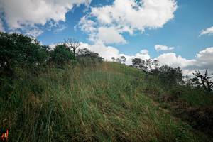 BIB: 
                            <button type="button" onclick="openModal(25552240)" class="btn btn-primary btn-sm float-right btn-popup" data-toggle="modal" data-target=".modal-high-quality">
                        <i class="fas fa-shopping-cart"></i> Add to Cart
                    </button>
                                            <button type="button" onclick="isThisMe(25552240, true)" class="btn btn-success btn-sm float-right btn-popup btn-isme hidden" data-toggle="tooltip" data-placement="bottom" title="นี่คือรูปของคุณใช่ไหม คลิกที่นี่เพื่อเอาเข้าอัลบั้ม">
                        <i class="fas fa-plus"></i> Add to album
                    </button>
                    <button type="button" onclick="isThisMe(25552240, false)" class="btn btn-warning btn-sm float-right btn-popup btn-isnotme hidden">
                        <i class="fas fa-ban"></i> Remove from album
                    </button>