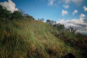 BIB: 
                            <button type="button" onclick="openModal(25616535)" class="btn btn-primary btn-sm float-right btn-popup" data-toggle="modal" data-target=".modal-high-quality">
                        <i class="fas fa-shopping-cart"></i> Add to Cart
                    </button>
                                            <button type="button" onclick="isThisMe(25616535, true)" class="btn btn-success btn-sm float-right btn-popup btn-isme hidden" data-toggle="tooltip" data-placement="bottom" title="นี่คือรูปของคุณใช่ไหม คลิกที่นี่เพื่อเอาเข้าอัลบั้ม">
                        <i class="fas fa-plus"></i> Add to album
                    </button>
                    <button type="button" onclick="isThisMe(25616535, false)" class="btn btn-warning btn-sm float-right btn-popup btn-isnotme hidden">
                        <i class="fas fa-ban"></i> Remove from album
                    </button>