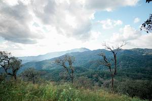 BIB: 
                            <button type="button" onclick="openModal(25558573)" class="btn btn-primary btn-sm float-right btn-popup" data-toggle="modal" data-target=".modal-high-quality">
                        <i class="fas fa-shopping-cart"></i> Add to Cart
                    </button>
                                            <button type="button" onclick="isThisMe(25558573, true)" class="btn btn-success btn-sm float-right btn-popup btn-isme hidden" data-toggle="tooltip" data-placement="bottom" title="นี่คือรูปของคุณใช่ไหม คลิกที่นี่เพื่อเอาเข้าอัลบั้ม">
                        <i class="fas fa-plus"></i> Add to album
                    </button>
                    <button type="button" onclick="isThisMe(25558573, false)" class="btn btn-warning btn-sm float-right btn-popup btn-isnotme hidden">
                        <i class="fas fa-ban"></i> Remove from album
                    </button>