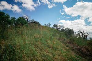 BIB: 
                            <button type="button" onclick="openModal(25535316)" class="btn btn-primary btn-sm float-right btn-popup" data-toggle="modal" data-target=".modal-high-quality">
                        <i class="fas fa-shopping-cart"></i> Add to Cart
                    </button>
                                            <button type="button" onclick="isThisMe(25535316, true)" class="btn btn-success btn-sm float-right btn-popup btn-isme hidden" data-toggle="tooltip" data-placement="bottom" title="นี่คือรูปของคุณใช่ไหม คลิกที่นี่เพื่อเอาเข้าอัลบั้ม">
                        <i class="fas fa-plus"></i> Add to album
                    </button>
                    <button type="button" onclick="isThisMe(25535316, false)" class="btn btn-warning btn-sm float-right btn-popup btn-isnotme hidden">
                        <i class="fas fa-ban"></i> Remove from album
                    </button>