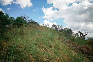 BIB: 
                            <button type="button" onclick="openModal(25558596)" class="btn btn-primary btn-sm float-right btn-popup" data-toggle="modal" data-target=".modal-high-quality">
                        <i class="fas fa-shopping-cart"></i> Add to Cart
                    </button>
                                            <button type="button" onclick="isThisMe(25558596, true)" class="btn btn-success btn-sm float-right btn-popup btn-isme hidden" data-toggle="tooltip" data-placement="bottom" title="นี่คือรูปของคุณใช่ไหม คลิกที่นี่เพื่อเอาเข้าอัลบั้ม">
                        <i class="fas fa-plus"></i> Add to album
                    </button>
                    <button type="button" onclick="isThisMe(25558596, false)" class="btn btn-warning btn-sm float-right btn-popup btn-isnotme hidden">
                        <i class="fas fa-ban"></i> Remove from album
                    </button>