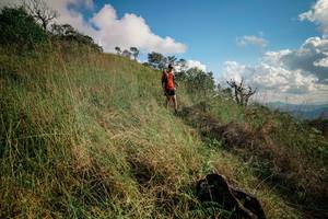 BIB: 
                            <button type="button" onclick="openModal(25607165)" class="btn btn-primary btn-sm float-right btn-popup" data-toggle="modal" data-target=".modal-high-quality">
                        <i class="fas fa-shopping-cart"></i> Add to Cart
                    </button>
                                            <button type="button" onclick="isThisMe(25607165, true)" class="btn btn-success btn-sm float-right btn-popup btn-isme hidden" data-toggle="tooltip" data-placement="bottom" title="นี่คือรูปของคุณใช่ไหม คลิกที่นี่เพื่อเอาเข้าอัลบั้ม">
                        <i class="fas fa-plus"></i> Add to album
                    </button>
                    <button type="button" onclick="isThisMe(25607165, false)" class="btn btn-warning btn-sm float-right btn-popup btn-isnotme hidden">
                        <i class="fas fa-ban"></i> Remove from album
                    </button>