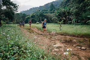 BIB: 
                            <button type="button" onclick="openModal(26028398)" class="btn btn-primary btn-sm float-right btn-popup" data-toggle="modal" data-target=".modal-high-quality">
                        <i class="fas fa-shopping-cart"></i> Add to Cart
                    </button>
                                            <button type="button" onclick="isThisMe(26028398, true)" class="btn btn-success btn-sm float-right btn-popup btn-isme hidden" data-toggle="tooltip" data-placement="bottom" title="นี่คือรูปของคุณใช่ไหม คลิกที่นี่เพื่อเอาเข้าอัลบั้ม">
                        <i class="fas fa-plus"></i> Add to album
                    </button>
                    <button type="button" onclick="isThisMe(26028398, false)" class="btn btn-warning btn-sm float-right btn-popup btn-isnotme hidden">
                        <i class="fas fa-ban"></i> Remove from album
                    </button>