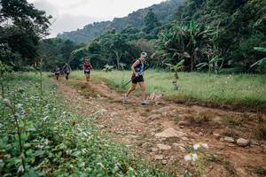 BIB: 
                            <button type="button" onclick="openModal(26028399)" class="btn btn-primary btn-sm float-right btn-popup" data-toggle="modal" data-target=".modal-high-quality">
                        <i class="fas fa-shopping-cart"></i> Add to Cart
                    </button>
                                            <button type="button" onclick="isThisMe(26028399, true)" class="btn btn-success btn-sm float-right btn-popup btn-isme hidden" data-toggle="tooltip" data-placement="bottom" title="นี่คือรูปของคุณใช่ไหม คลิกที่นี่เพื่อเอาเข้าอัลบั้ม">
                        <i class="fas fa-plus"></i> Add to album
                    </button>
                    <button type="button" onclick="isThisMe(26028399, false)" class="btn btn-warning btn-sm float-right btn-popup btn-isnotme hidden">
                        <i class="fas fa-ban"></i> Remove from album
                    </button>